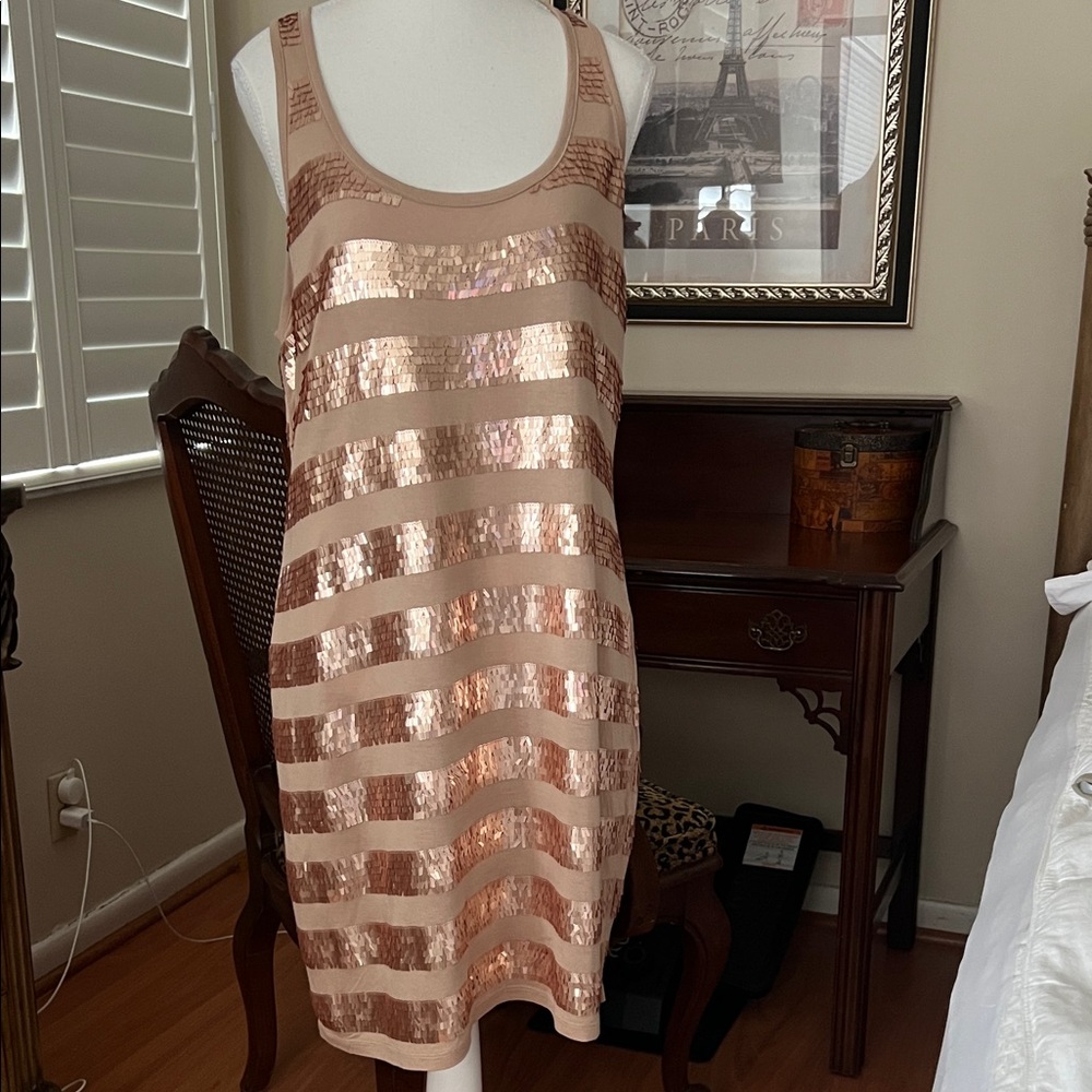 Michael Kors Rose Gold Sequin Striped Dress